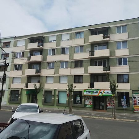 Central White Apartment Satu Mare Bagian luar foto