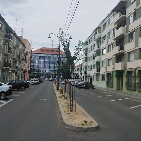 Central White Apartment Satu Mare Bagian luar foto