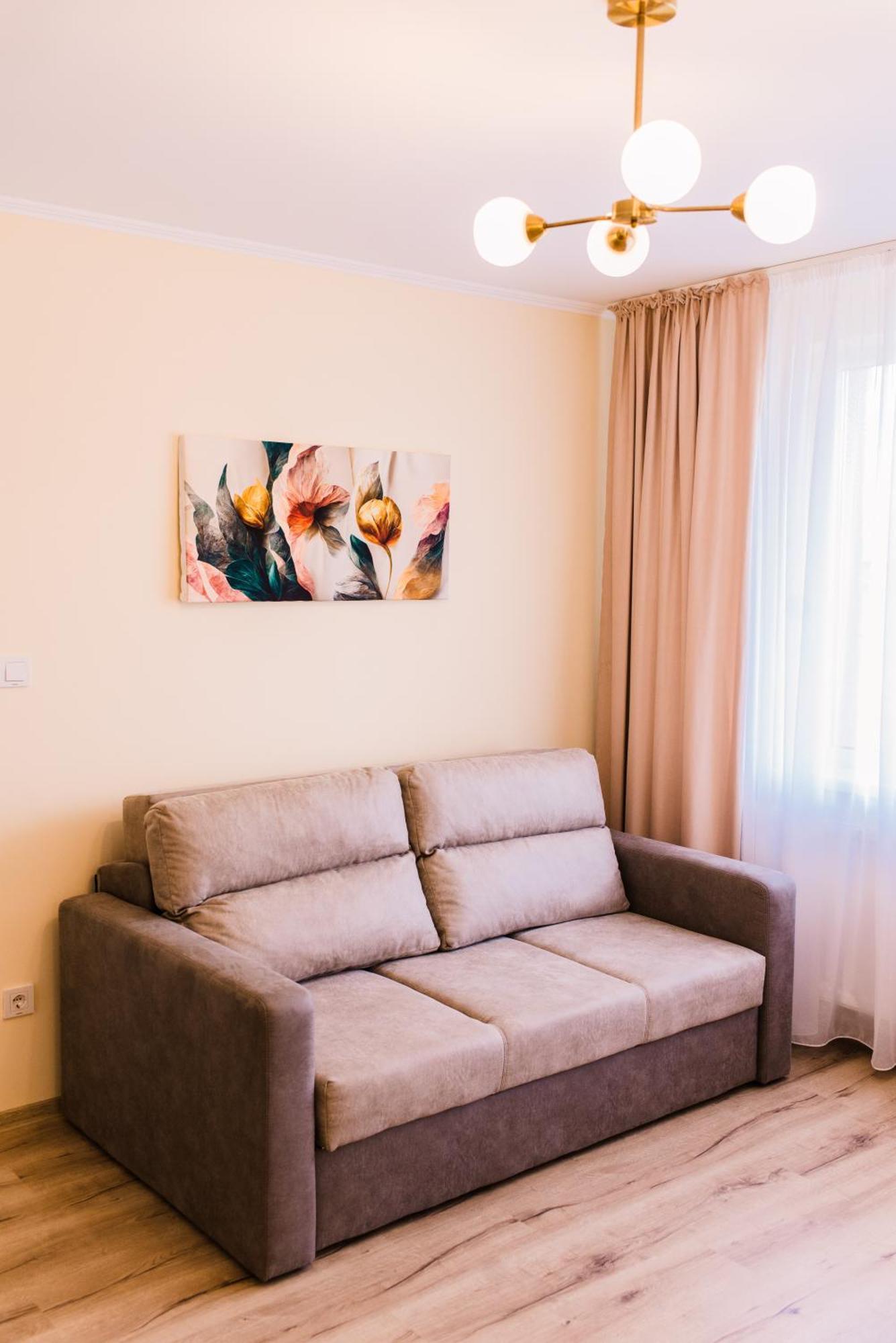 Central White Apartment Satu Mare Bagian luar foto
