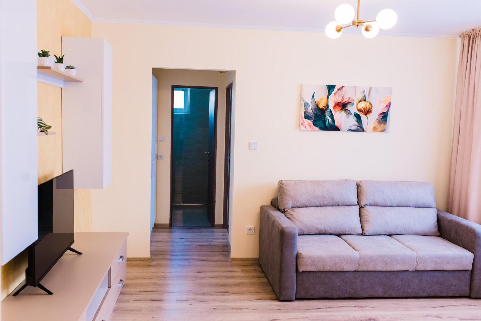 Central White Apartment Satu Mare Bagian luar foto