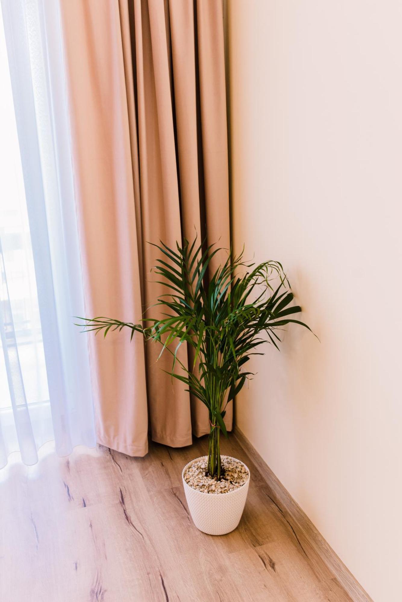 Central White Apartment Satu Mare Bagian luar foto