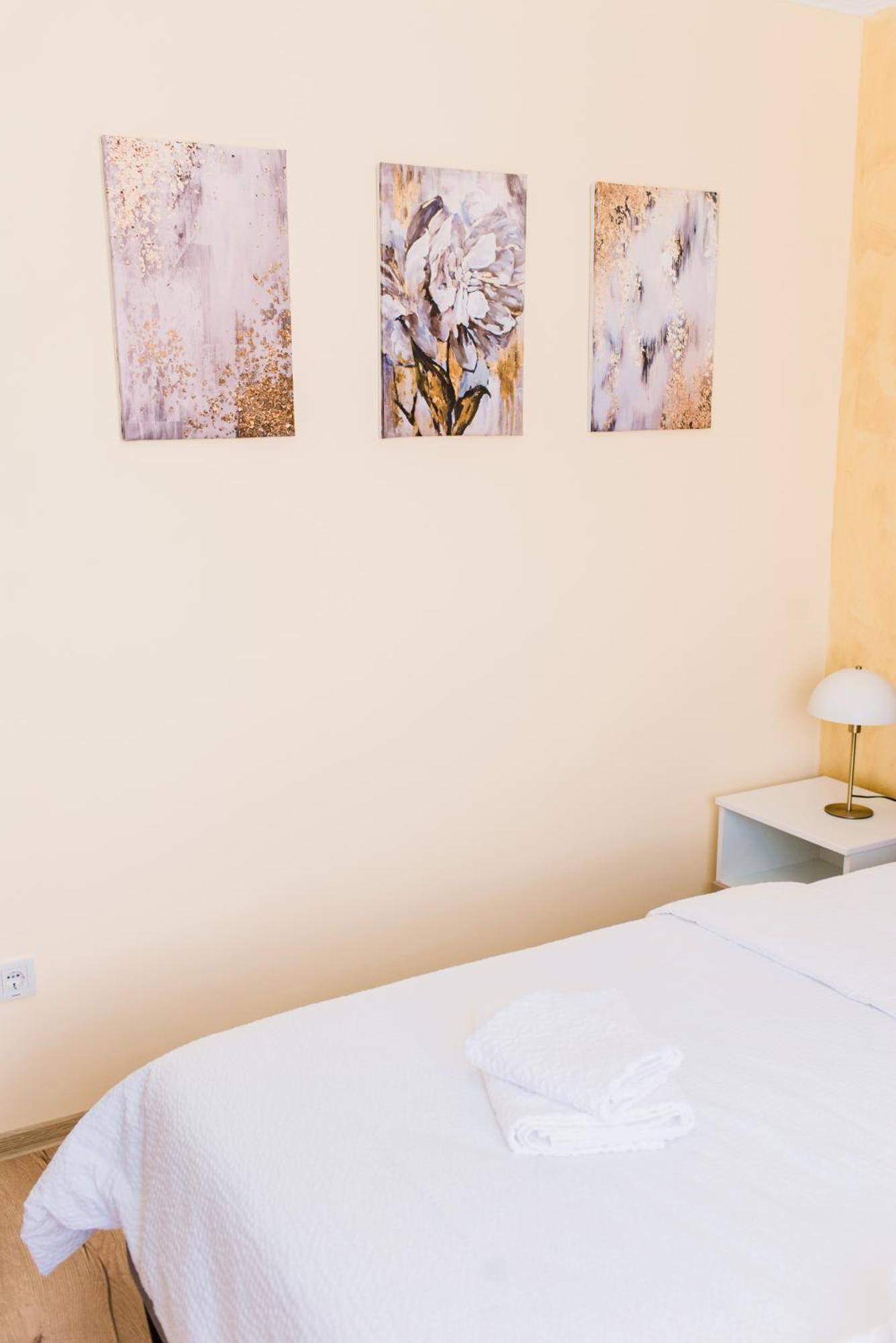 Central White Apartment Satu Mare Bagian luar foto