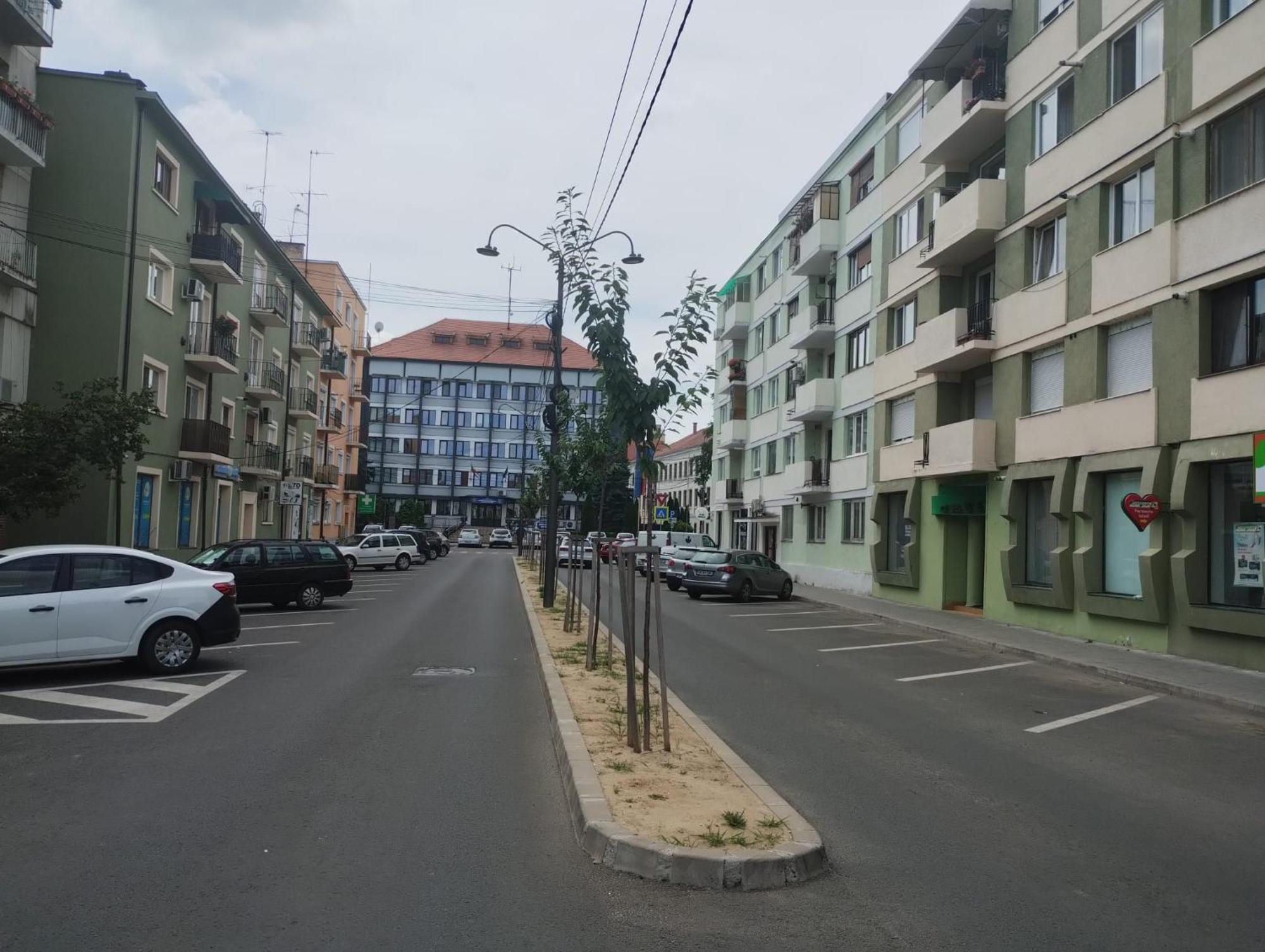 Central White Apartment Satu Mare Bagian luar foto